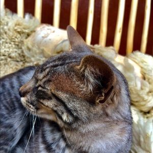 Meet your Posher, Sebastian